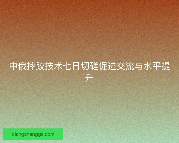 中俄摔跤技术七日切磋促进交流与水平提升